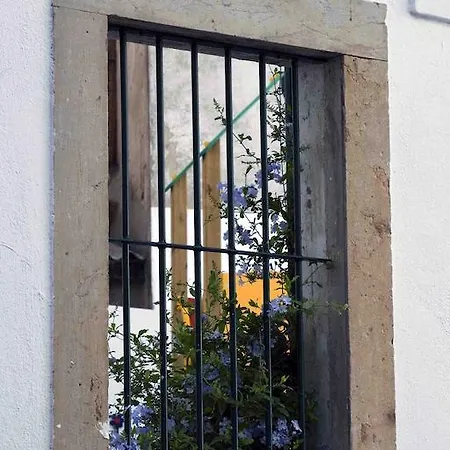 Апартаменти Cosy Flat In Historic Downtown